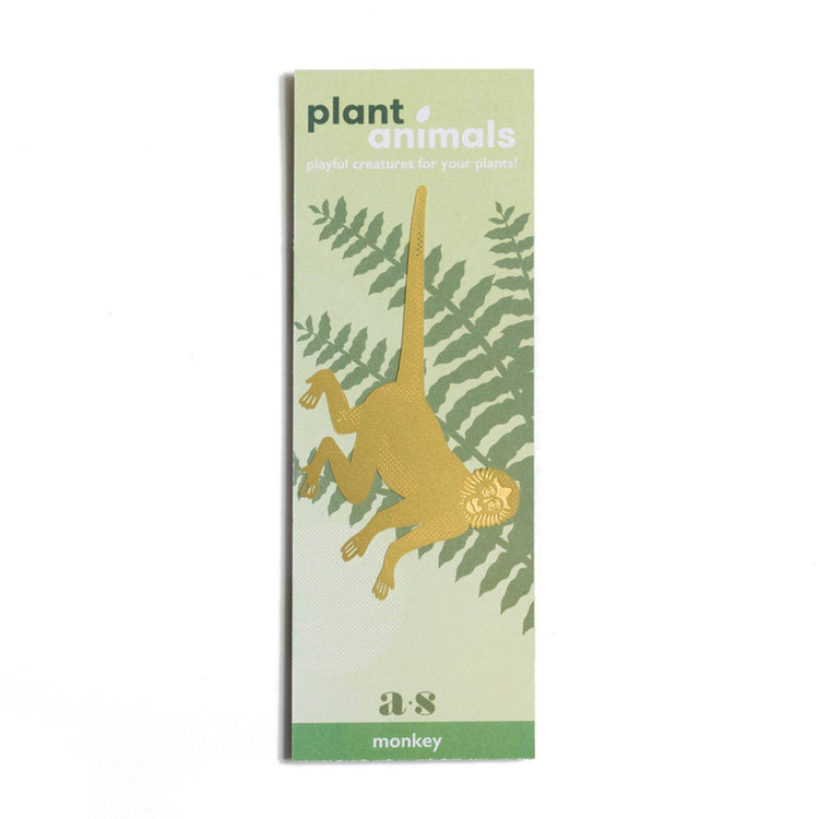 Plant Animal - Spider Monkey, houseplant decoration – Gift – Little Nell