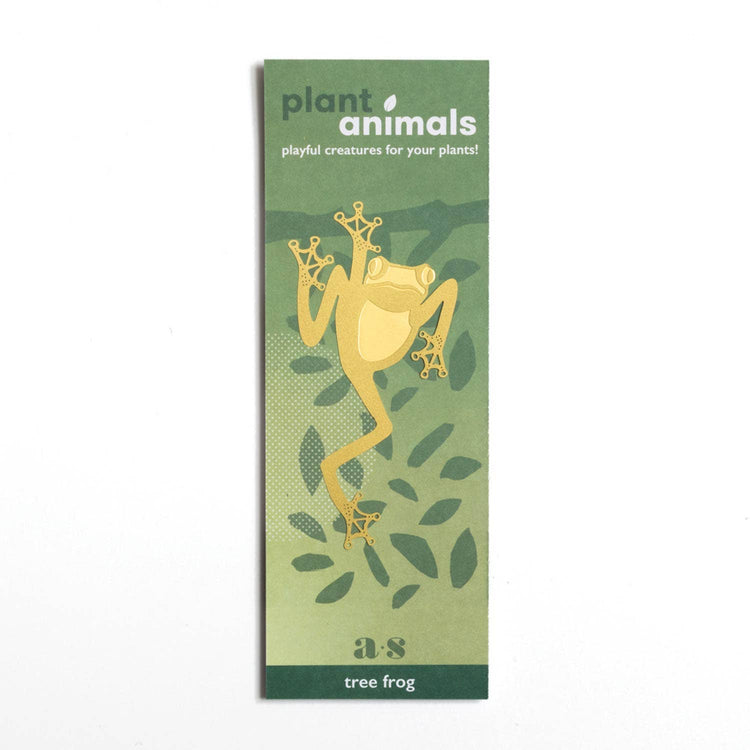 Tree Frog, Houseplant Decoration – Gift – Little Nell