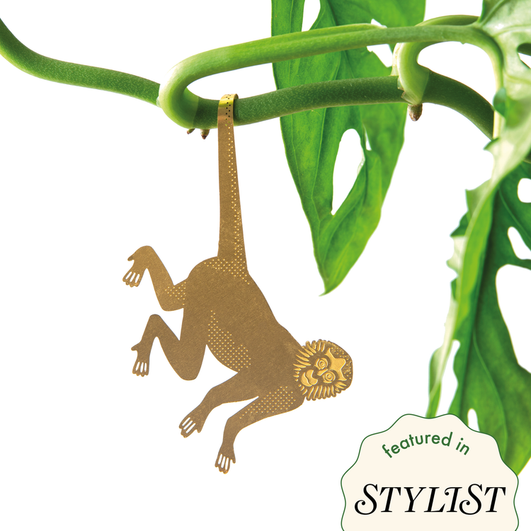 Plant Animal - Spider Monkey, houseplant decoration – Gift – Little Nell