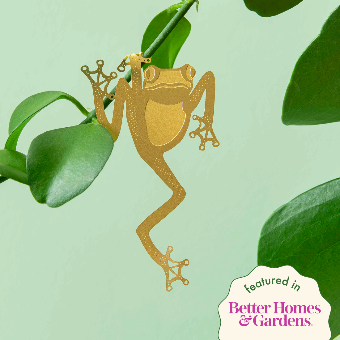 Tree Frog, Houseplant Decoration – Gift – Little Nell