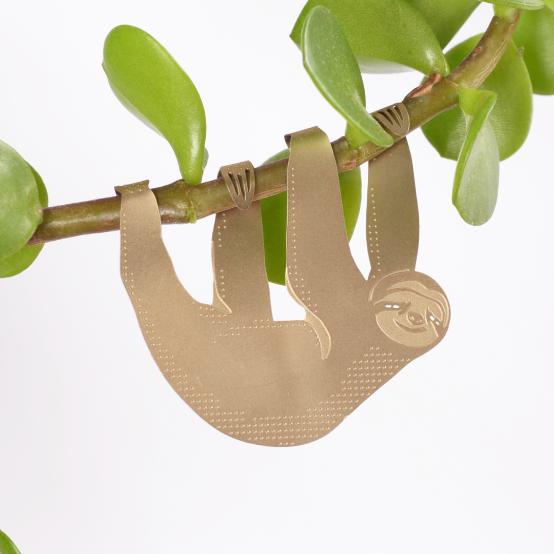 Sloth, Houseplant Charm – Gift – Little Nell
