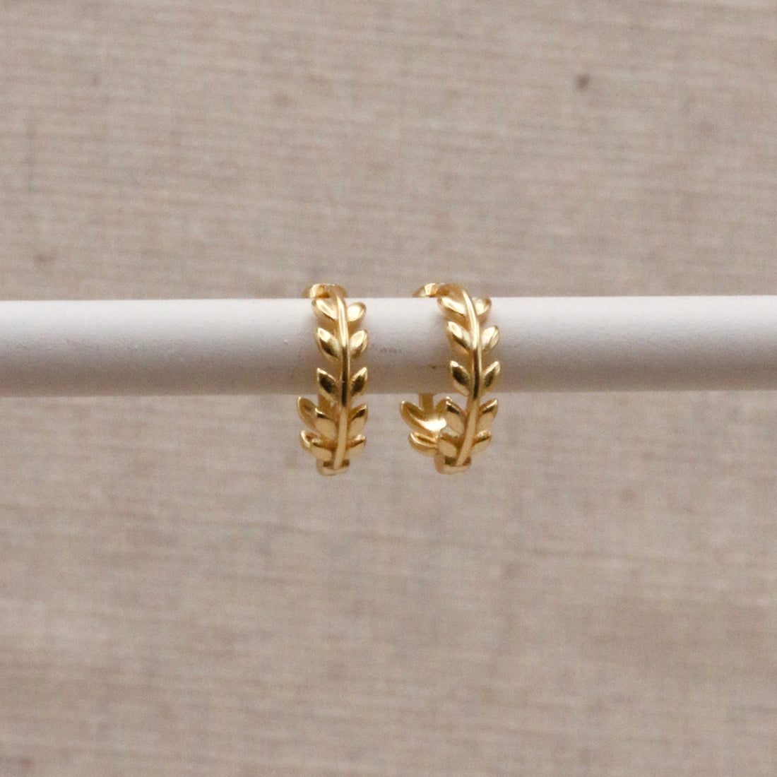 Gold Laurel Huggie Hoops – Demi Fine Hoop Earrings – Little Nell Jewellery