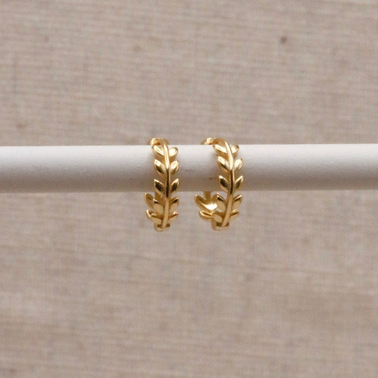 Gold Laurel Huggie Hoops – Demi Fine Hoop Earrings – Little Nell Jewellery