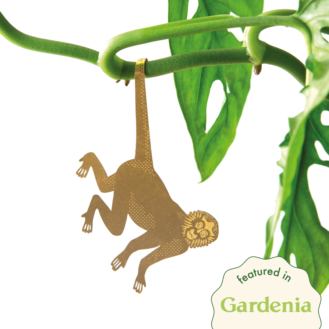 Plant Animal - Spider Monkey, houseplant decoration – Gift – Little Nell