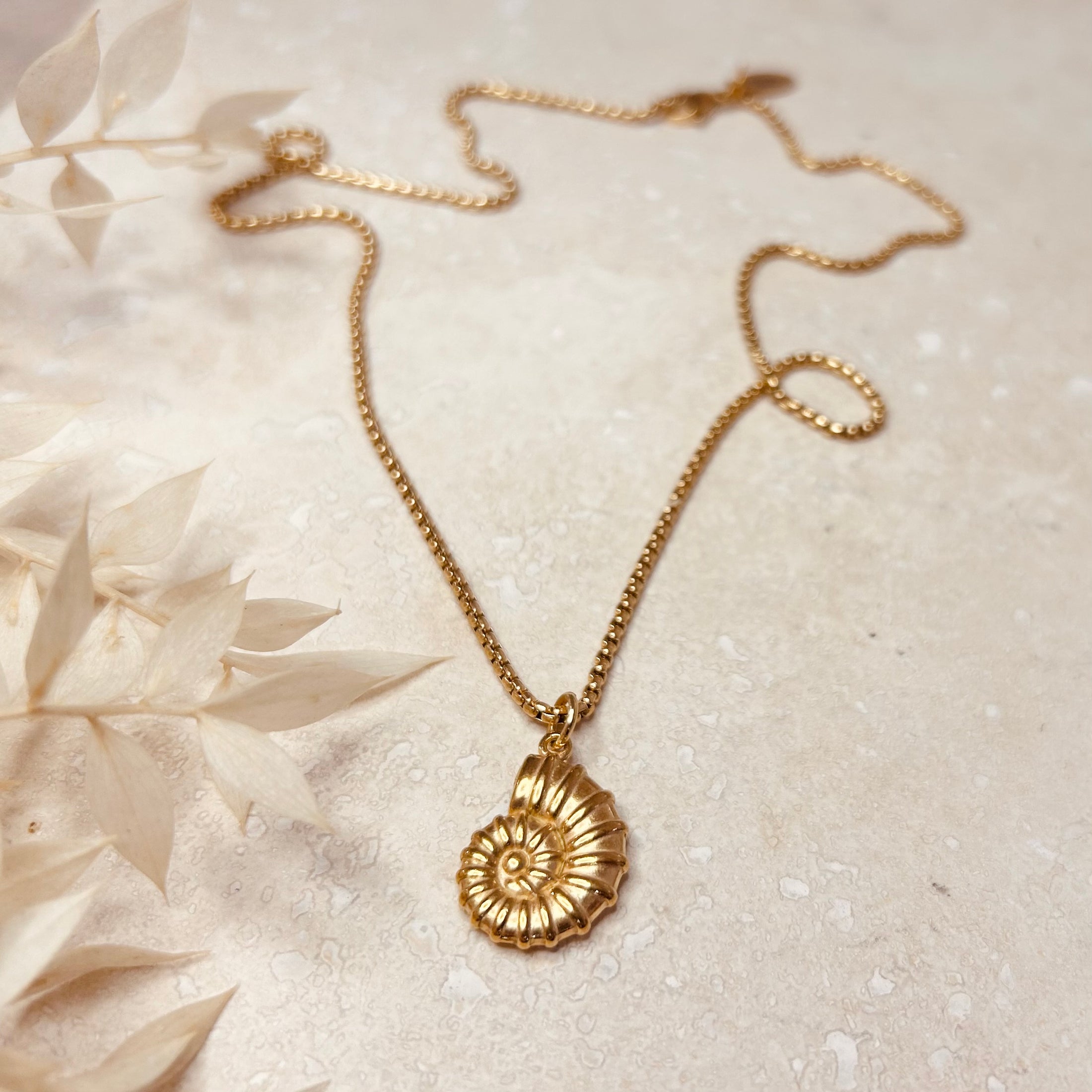 Everday Shells Necklaces – Little Nell Jewellery