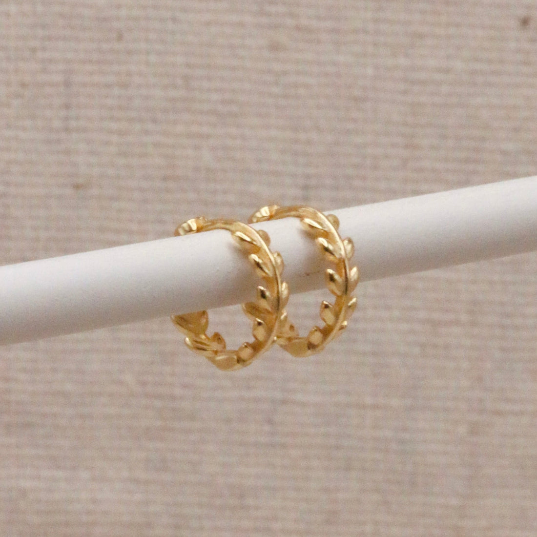 Gold Laurel Huggie Hoops – Demi Fine Hoop Earrings – Little Nell Jewellery