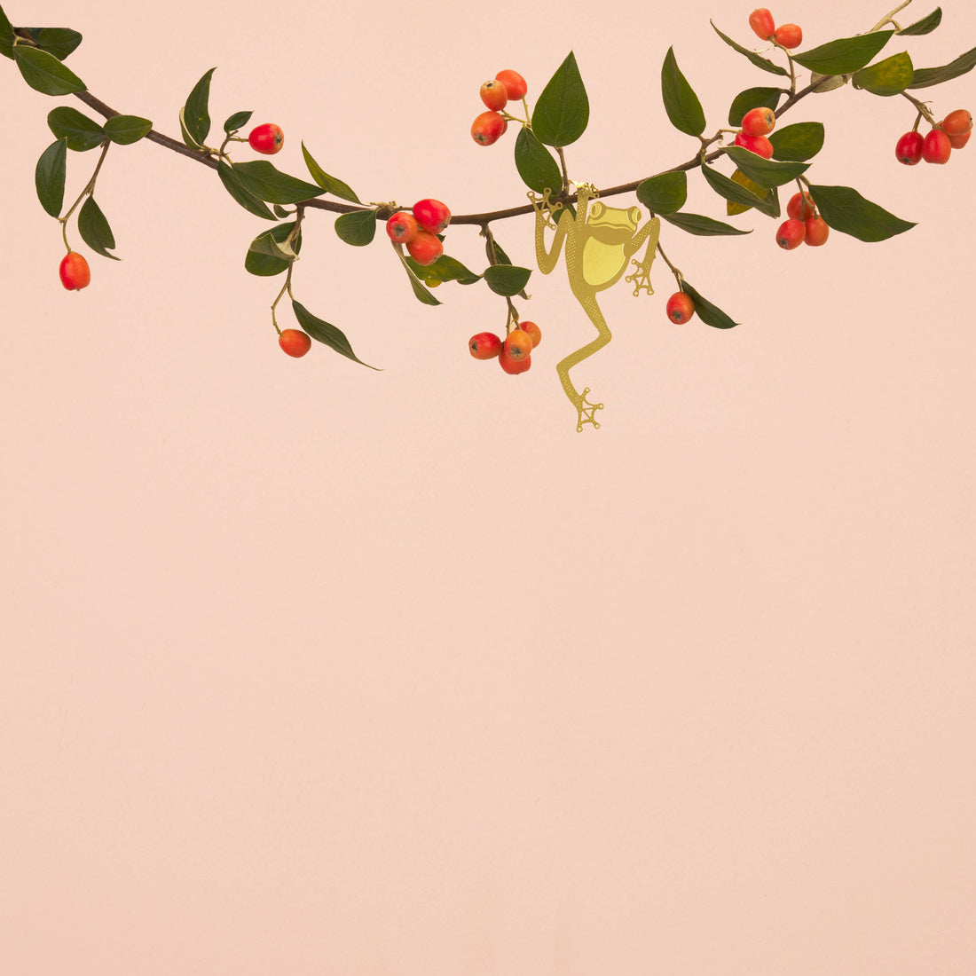 Tree Frog, Houseplant Decoration – Gift – Little Nell