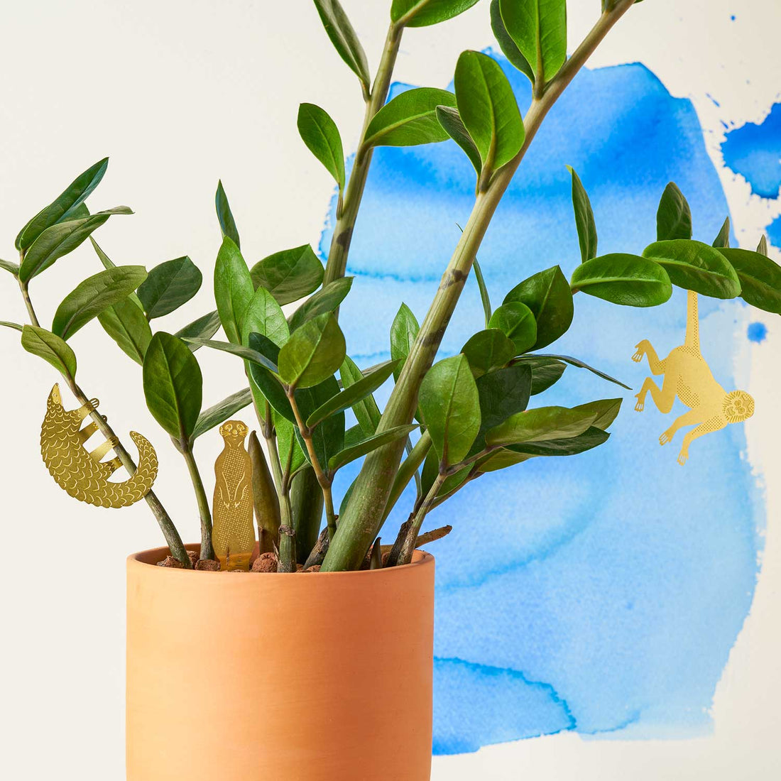 Plant Animal - Spider Monkey, houseplant decoration – Gift – Little Nell