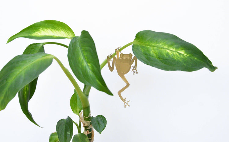 Tree Frog, Houseplant Decoration – Gift – Little Nell