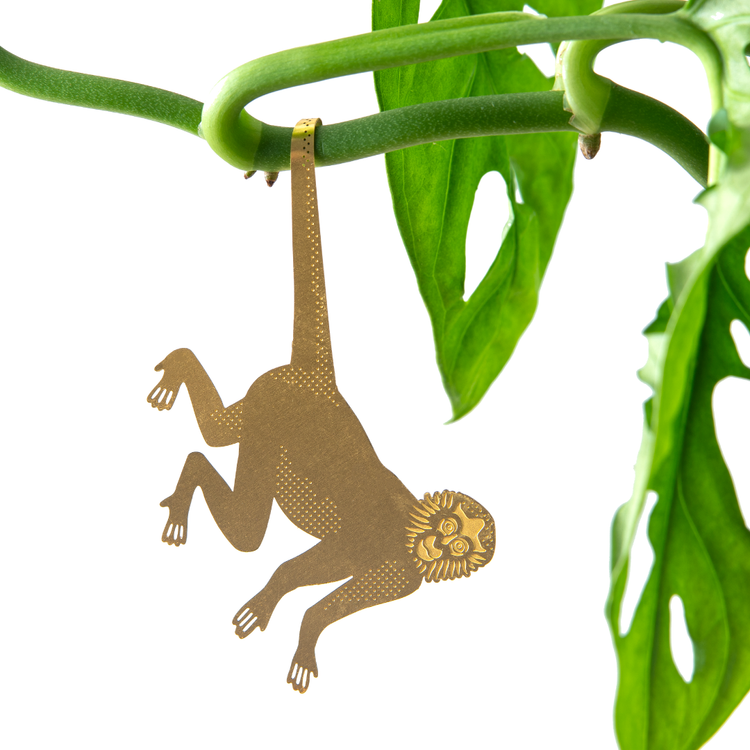 Plant Animal - Spider Monkey, houseplant decoration – Gift – Little Nell
