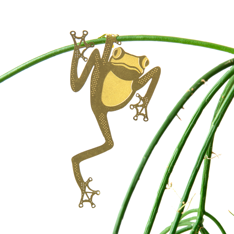 Tree Frog, Houseplant Decoration – Gift – Little Nell