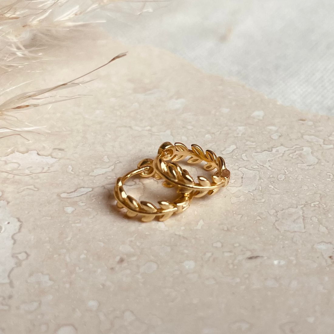 Gold Laurel Huggie Hoops – Demi Fine Hoop Earrings – Little Nell Jewellery