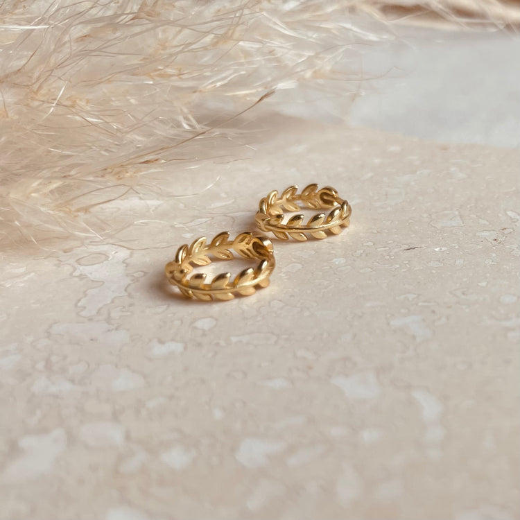 Gold Laurel Huggie Hoops – Demi Fine Hoop Earrings – Little Nell Jewellery