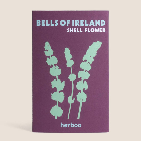 Bells of Ireland Seeds