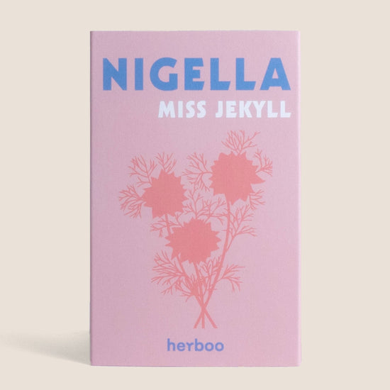 Nigella 'Miss Jekyll' Seeds